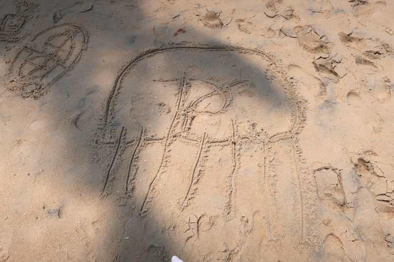 A jelly fish I drew in the sand